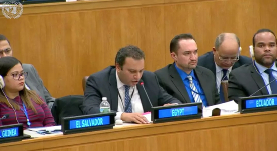 △埃及代表发言