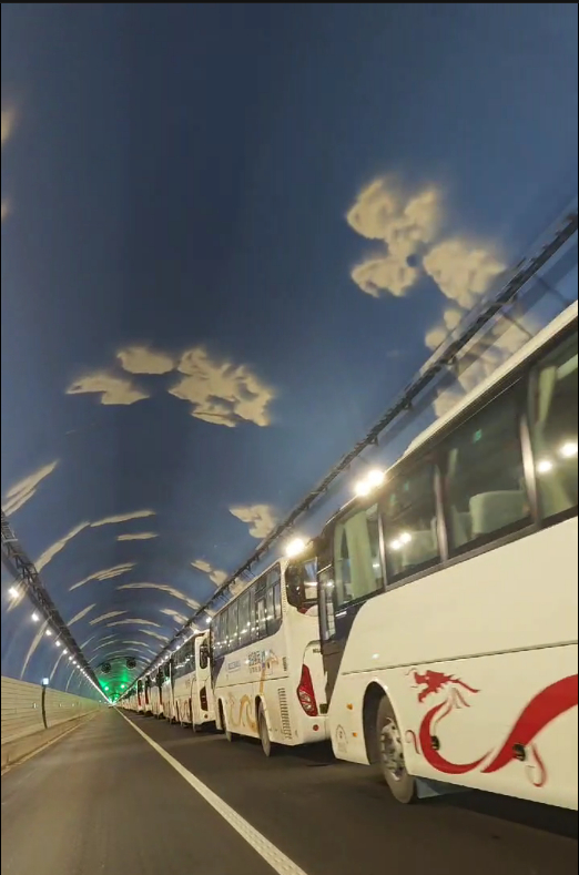  为避台风，马站隧道内停的车辆绵延数百米