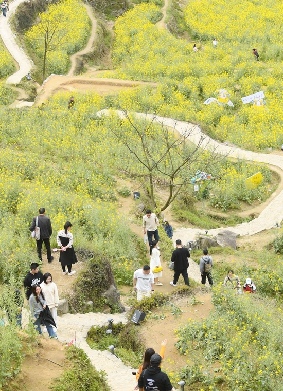  ↑4月3日，游客在覆卮山古梯田间游玩。