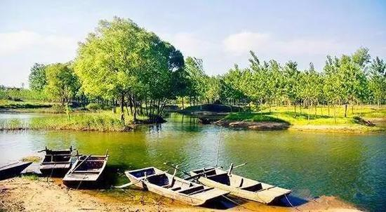 （编者配图，来源：台儿庄古城公众号）