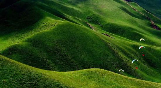  祁连草原上空的滑翔伞&nbsp; 杨黎明摄