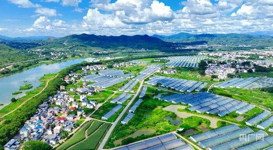  于都县梓山镇富硒蔬菜产业园（央广网发 朱海鹏 摄）