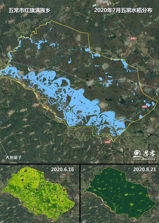 ▲上图为五常市红旗满族乡五常水稻分布；下图为6月与8月作物长势监测图。