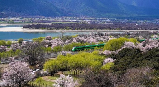 2025年4月2日,复兴号列车穿行在拉林铁路林芝段。新华社记者 晋美多吉 摄