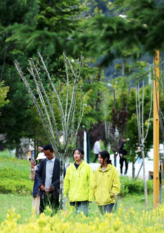 工布公园里散步的市民（7月21日摄）。王佳豪 摄