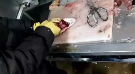 ·死鱼经过处理后冒充活鱼。