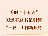第一观察｜着眼“十五五”，习近平总书记引领“三农”工作新开局