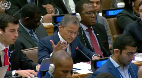 △新加坡代表发言