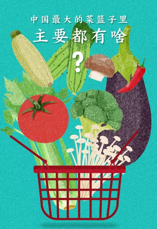  ▲&nbsp;中国最大的菜篮子里主要都有啥？看了这张图你就知道了！绘图/五月