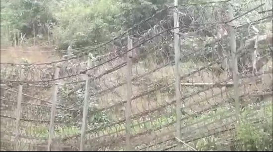 �山��һ�ҵ�թ԰������˿�����������԰������ͼƬ�ɰ����ṩ��