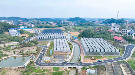  （北塔区陈家桥现代农业蔬菜综合产业园）