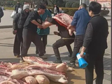 安徽一高中给优秀学生发奖，半扇猪整只羊扛回家，学校：听取家长建议发实物，总价14万多元