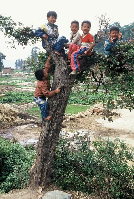 △&nbsp;1997年，云南省红河哈尼族彝族自治区，在自家菜园旁，男孩们爬上树玩耍。