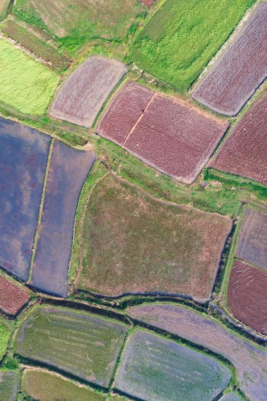  ▲&nbsp;河南信阳淮河流域农田。摄影/焦潇翔