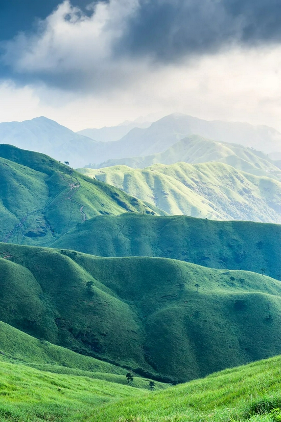 △10万亩高山草甸，世界同纬度高山中唯一 / 视觉中国