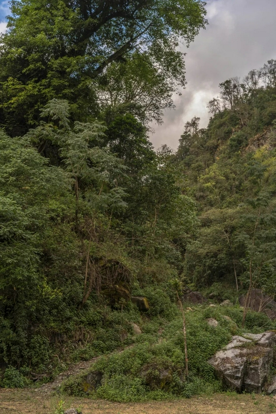 哀牢山脉下，偶尔有这样的小路可以往山上走（金海 摄）