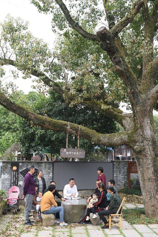 在浙江杭州市余杭区小古城村一株老樟树下，村民在商议乡村发展事项（2022年3月14日摄）。新华社记者 翁忻旸 摄