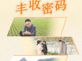 习近平总书记关切事·嘱托｜沃野兴农人的丰收密码