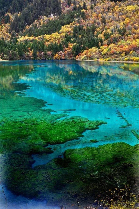 图源：成都全接触