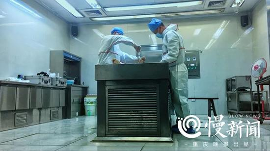 法医在提取死者的心血和尿液 本文图均为 慢新闻 图