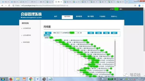  权健400电话确认的其会员管理系统网址www.usapabgxt.shop中的界面，与原权来百货的界面一致，图为10级会员组织结构图示局部截屏（应账号提供人要求遮盖姓名及具体账号信息，截屏时间：2018年12月27日） 截屏：程维