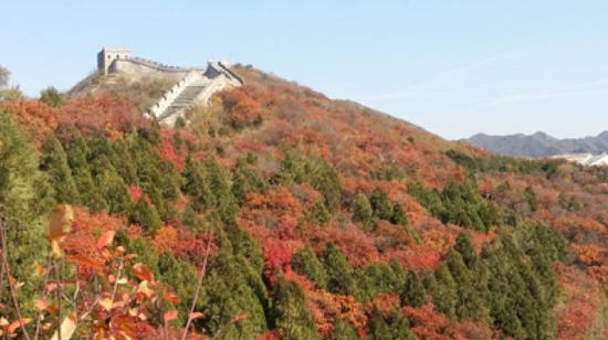 八达岭长城秋色。李斌摄