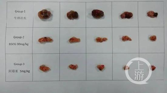 相关实验纪录图片。/全国青少年科技创新大赛官网