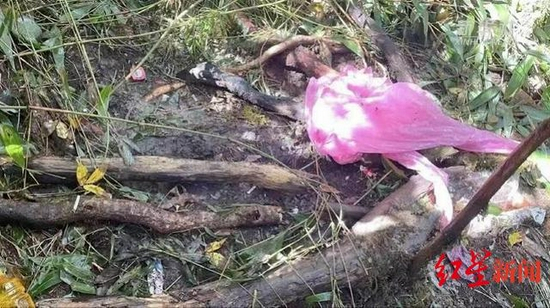  ↑11月20日，搜救人员在失联人员简易宿营窝棚的下游发现了他们的雨衣。