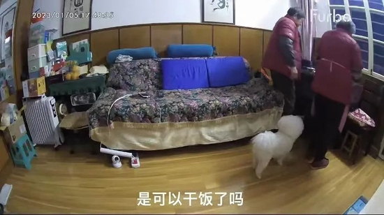  通过摄像头，朱祎祎可以看到老两口的日常