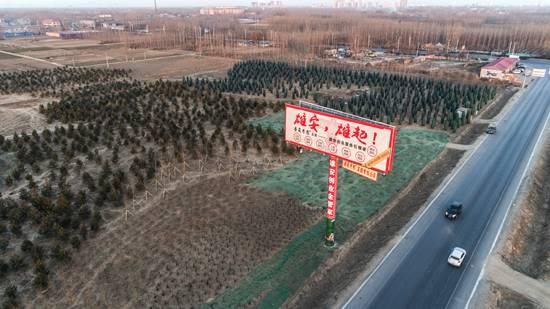 “千年秀林”工程。截至2017年年底，雄安新区已植树26万株。