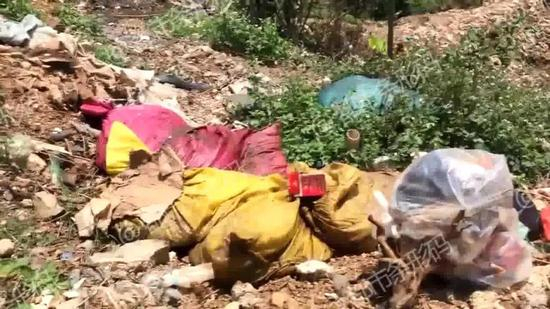 为了一探究竟，记者下到了这个深坑。