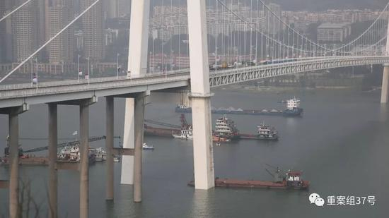 摄影 /新京报记者&nbsp;彭子洋