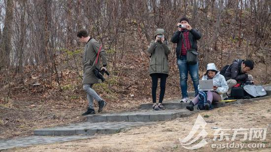 在树林中等待的各国记者