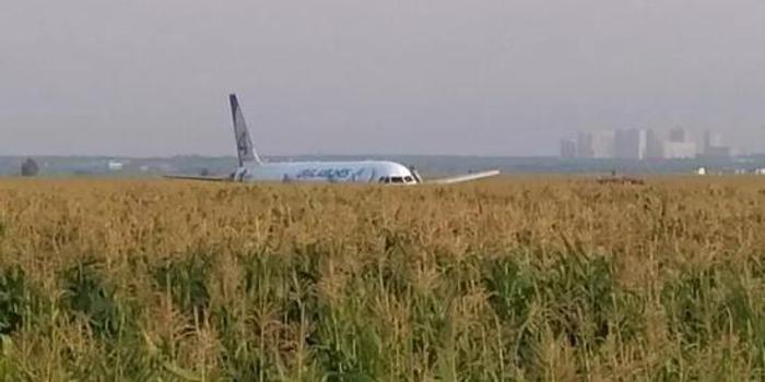 俄客機創奇跡:與鳥群相撞后成功迫降 人員全生還