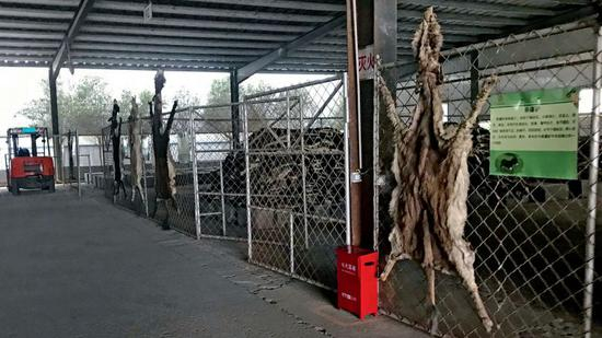 　东阿县一家阿胶企业存放驴皮的仓库。摄影/本刊记者 杜玮