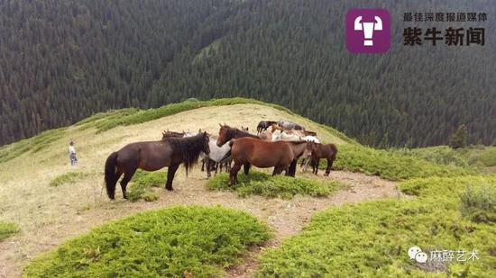  谭医生去援疆所到达的塔城地区