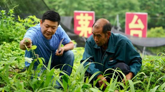 茅台集团援建白芨产业基地