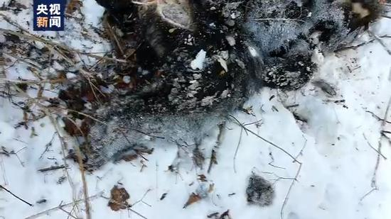 同行的张迎祥和苏全勇说起当时的场景，仍然感觉胆颤心惊。