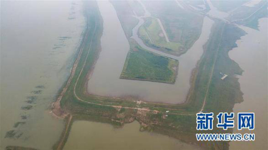 夏顺安在洞庭湖区的“私家湖泊”。（图：新华社）