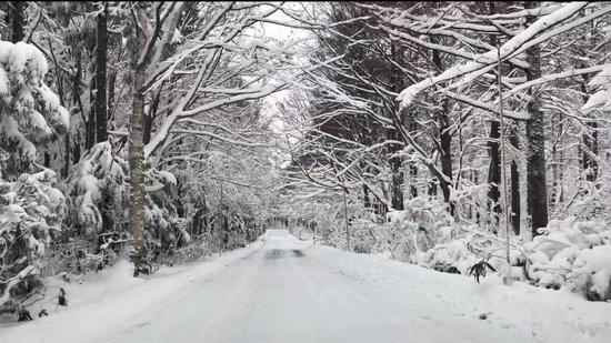 暴雪后东北地区空无一人的山间小路。 澎湃新闻记者 王昕然图 （摄于2019年初）