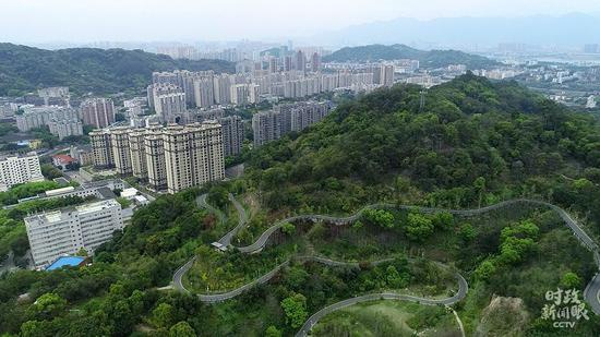 △俯瞰郊野福道（总台央视记者李鹏冲拍摄）