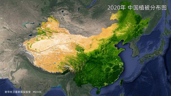 2020年中国植被分布图。（数据来源：MODIS）