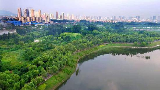 平顶山市白鹭洲国家城市湿地公园