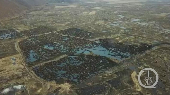  ▲3月26日，黑龙江五常市发生盗挖黑土案件，地面破坏严重。摄影/上游新闻记者 张莹