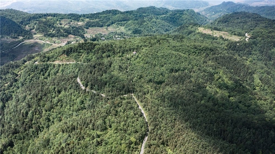 贵州省黔西市金碧镇万家寨社区沙嘎坡国储林示范点一隅（2022年5月7日摄，无人机照片）。新华社记者 陶亮 摄