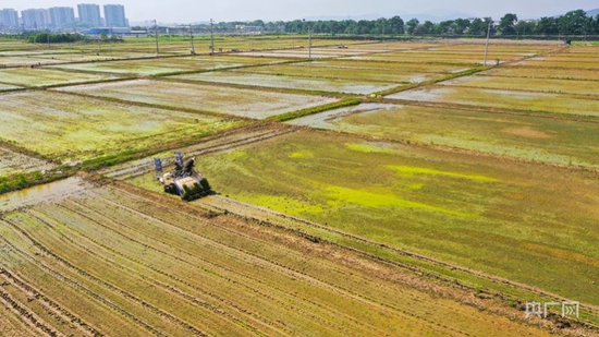 人勤春早，大地回暖。南昌县春耕备耕工作正如火如荼开展（央广网记者 胡斐 摄）