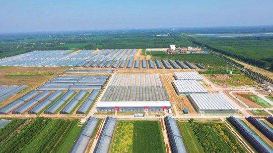耿店村高尺度蔬菜大棚 图片来源:中国乡村振兴