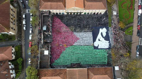 声援巴勒斯坦人民的集会以“停止加沙屠杀”为口号举行。图源：半岛电视台