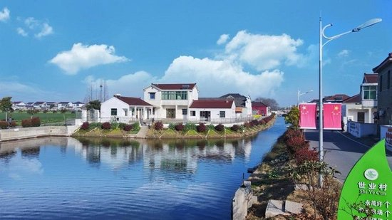 世业镇乡村一隅（央广网发 江雪 摄）