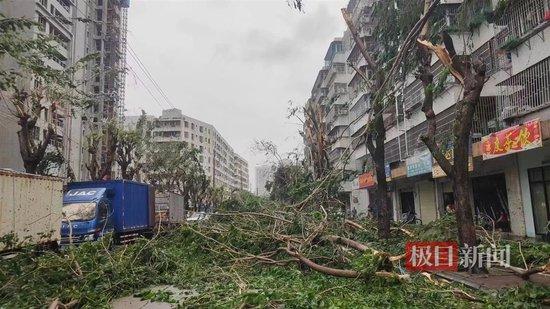 台风“摩羯”过境后的海口街道（受访者供图）